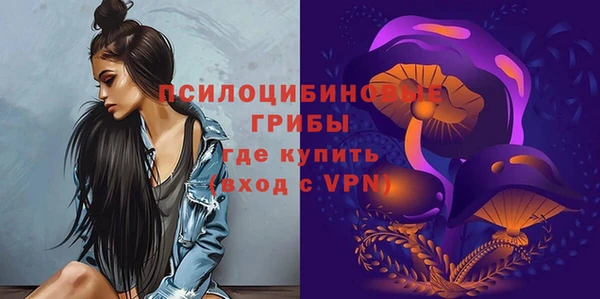 твердый Володарск
