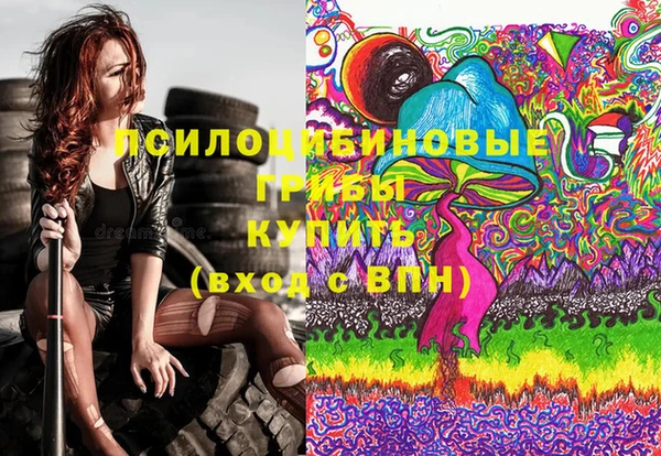 твердый Володарск