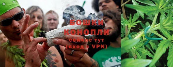 твердый Володарск