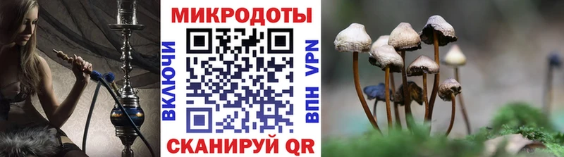 Галлюциногенные грибы мицелий  Назарово 